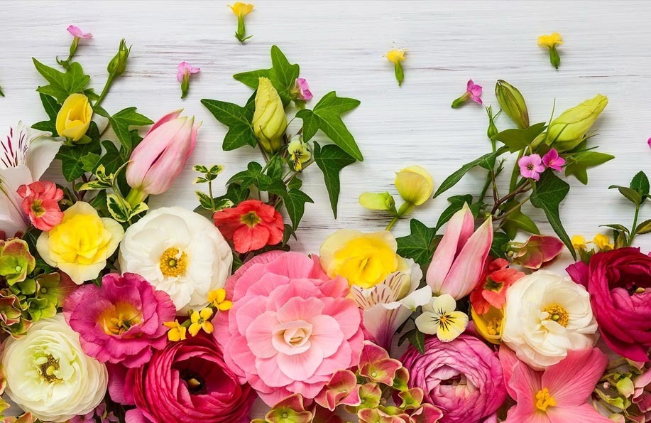 Tatvan Çiçek Rehberi: Özel Günlerinizi Alya Çiçek Evi ile Taçlandırın