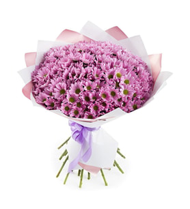Bukette Pembe Papatyalar