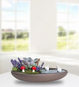 Kayık Saksıda Echeveria ve Lavanta Teraryum