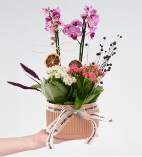 Kiremit Saksıda Mini Mor Orkide ve Kalanchoe