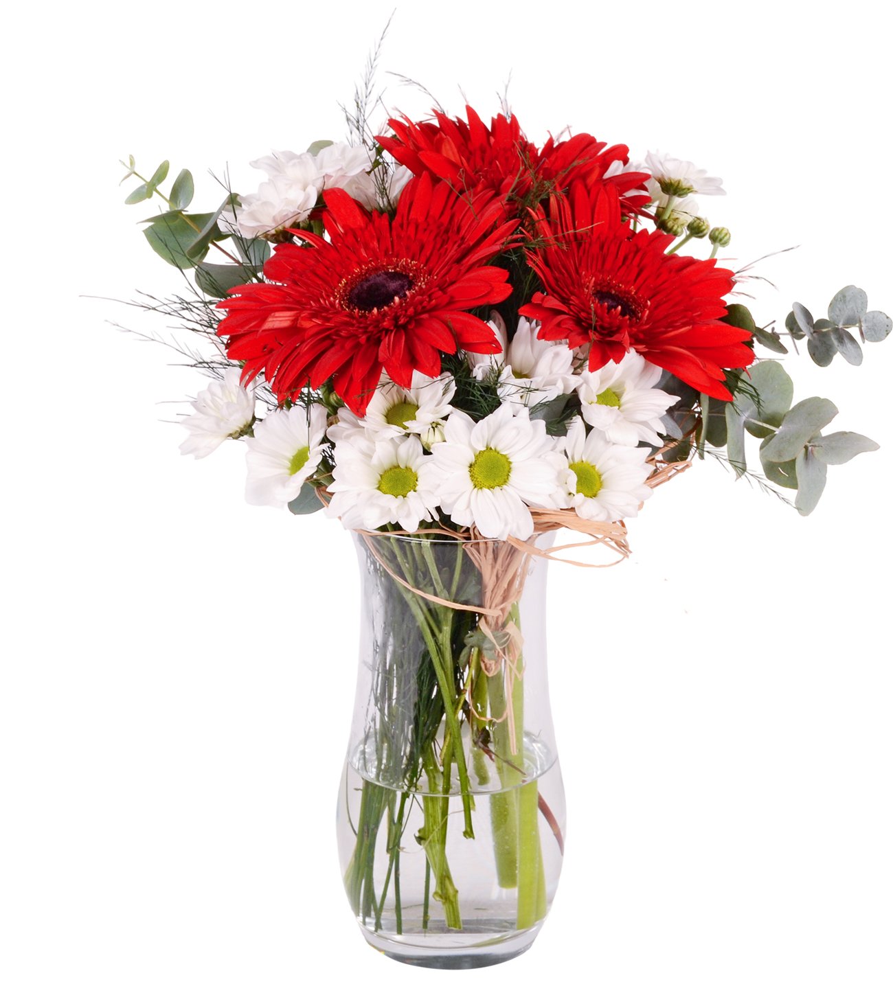 Kırmızı Gerbera ve Papatya Vazosu
