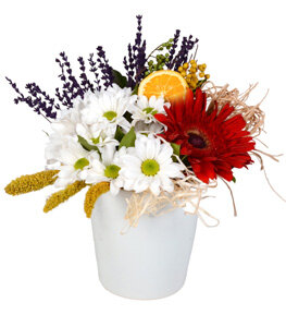Kırmızı Gerbera ve Papatyalar
