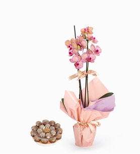 Lila Buketli Çift Midi Mix Orkide & Lotus Biscoff®'lu Kekler