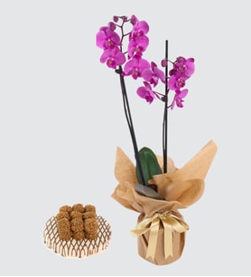 Mor Çiftli Orkide ve Pasta Temalı Lotus Biscoff®'lu Kekler
