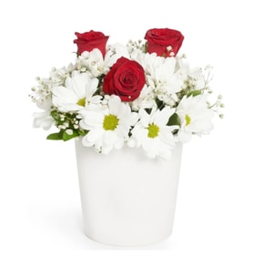 Papatya ve 3 Kırmızı Gül Aranjmanı