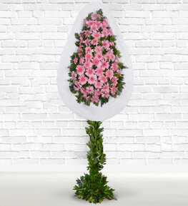 Pembe Ayaklı Sepet
