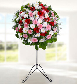 Renkli Gerbera Ferforje