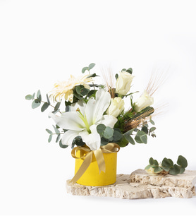 Sarı Beton Saksıda Beyaz Lilyum, Gül ve Gerbera