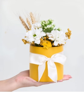 Sarı Saksıda Beyaz Papatyayalar ve Kalanchoe