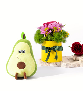Sarı Saksıda Kırmızı Gül ve Avokado Yastık