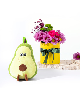 Sarı Saksıda Pembe Papatyalar ve Avokado Yastık