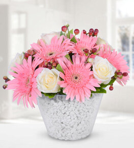 Seramikte Beyaz Gül ve Gerbera
