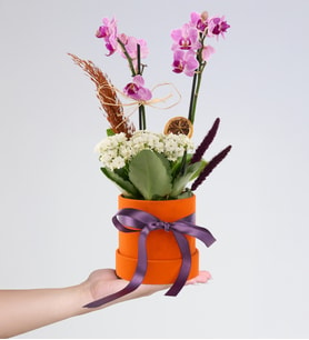 Turuncu Kutuda Mini Mor Orkide ve Beyaz Kalanchoe